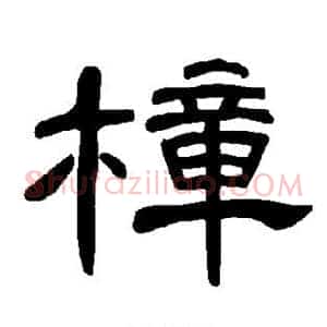 樟