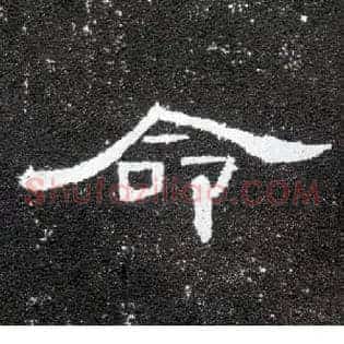 命