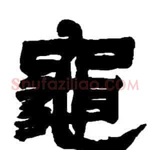 龟
