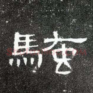 骚