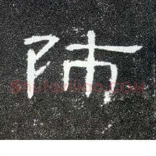 师