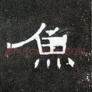 鱼