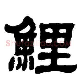 鲤