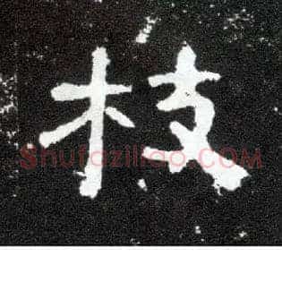 枝