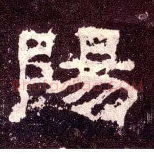 陽