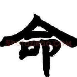 命