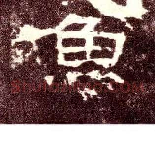 鱼