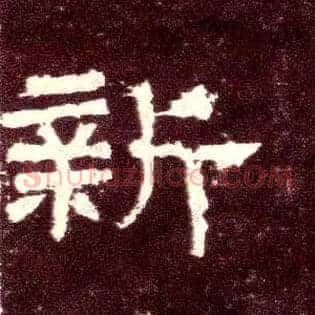新