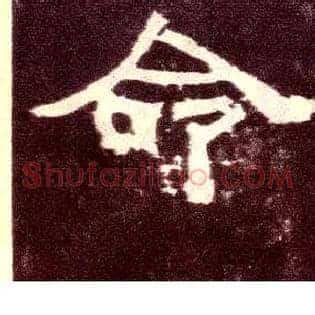 命