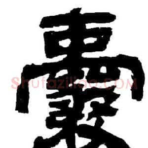 囊