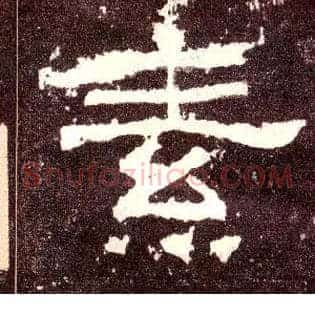 素