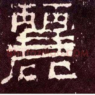 丽
