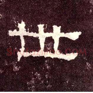 世