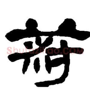 菽