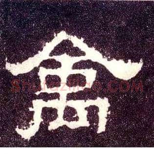 禽