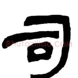 司