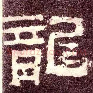 龍