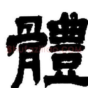 體