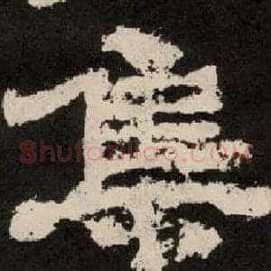 集