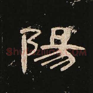 阳