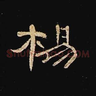 杨