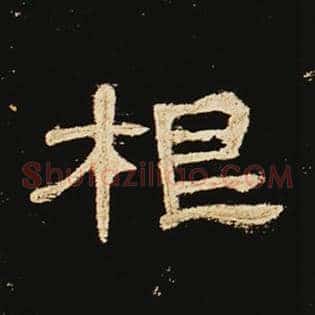 根
