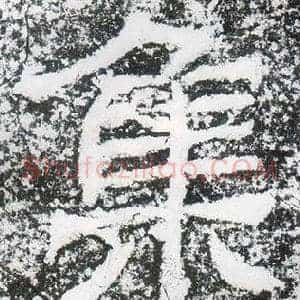 集