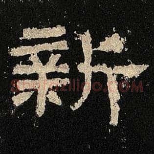 新