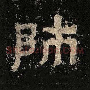 师