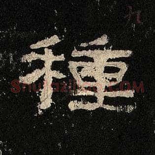 种
