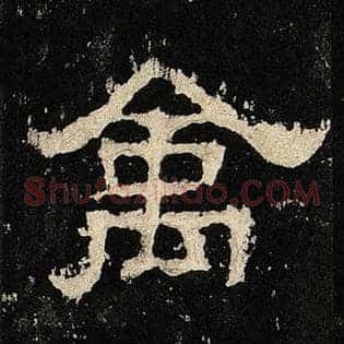 禽