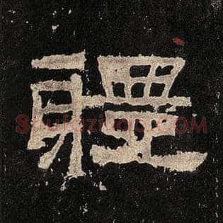 体