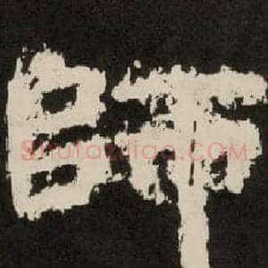 師