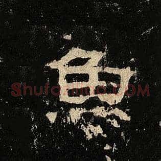 鱼