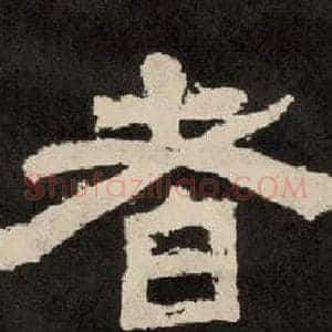 者