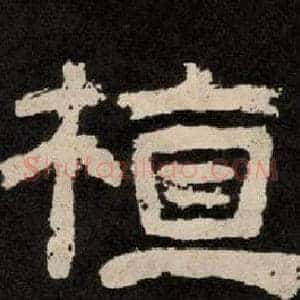 植