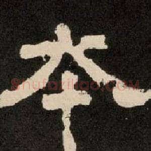 本
