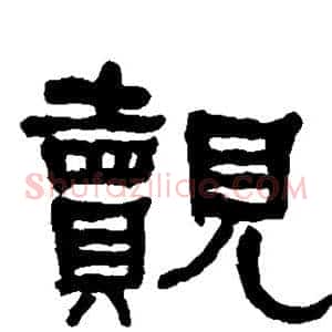 觌