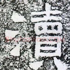 瀆