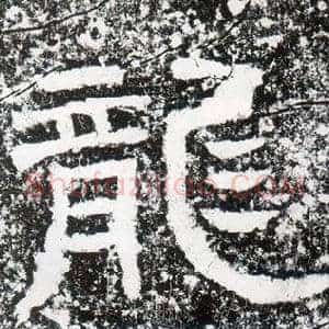 龍