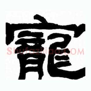 寵