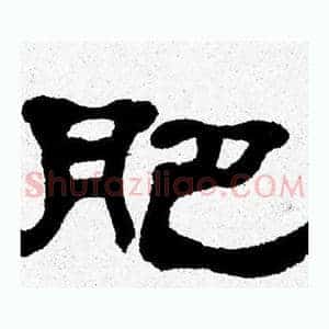 肥
