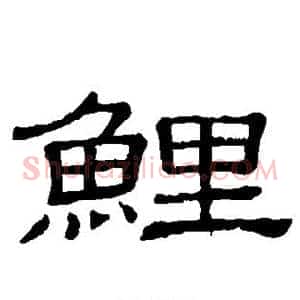 鲤