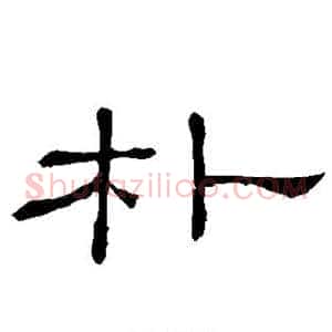 朴
