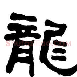 龙