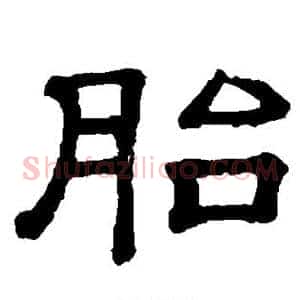 胎
