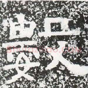 數