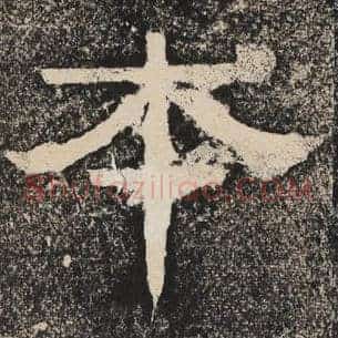 本