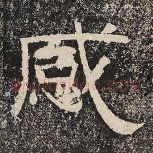 感