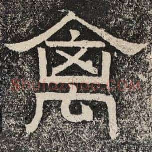 禽